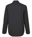 Back View