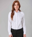 Brook Taverner Ladies Silvi Fitted Long Sleeve Blouse